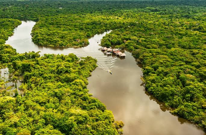 River and forest in the Peruvian Amazon