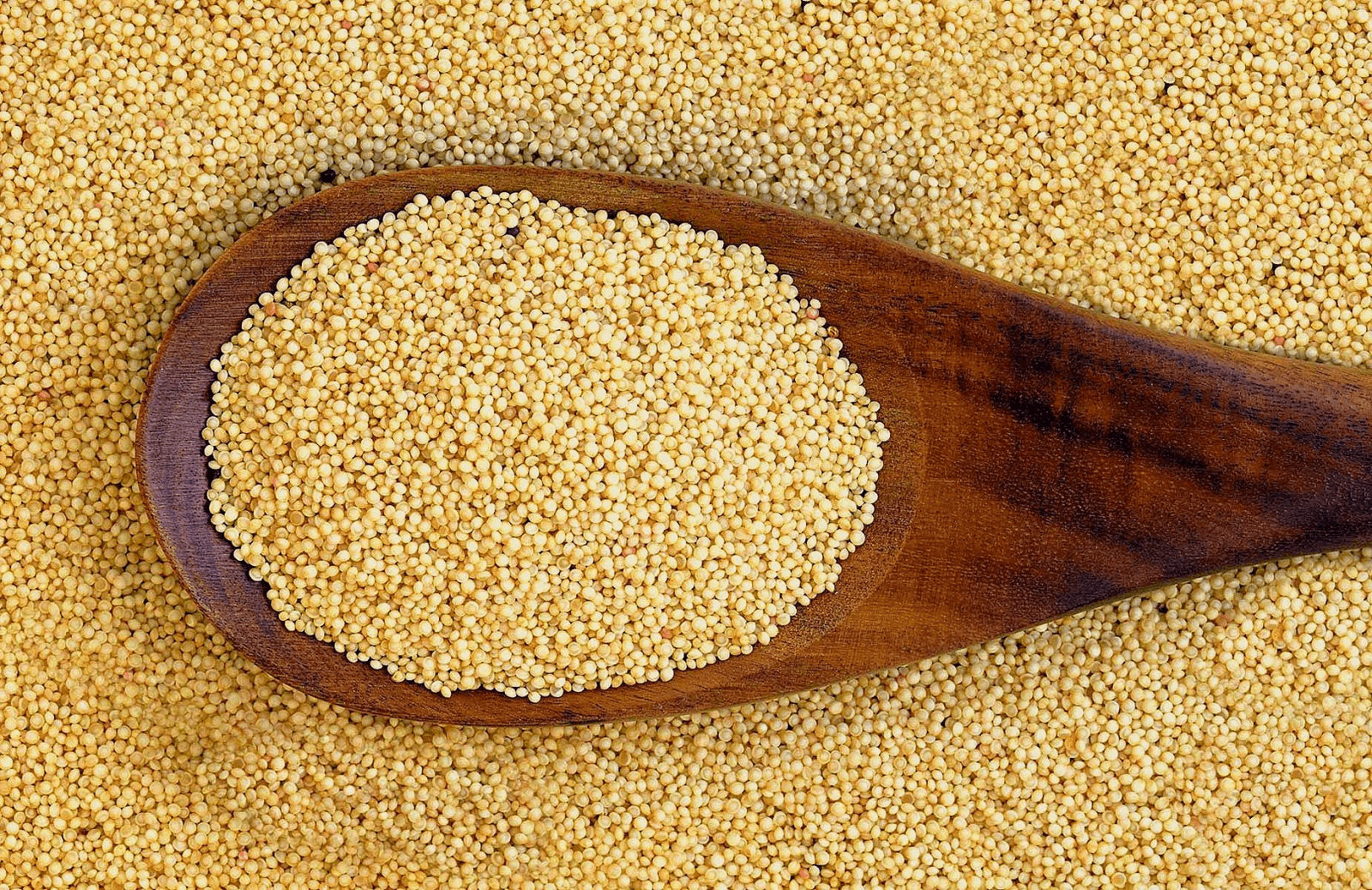 Peruvian kiwicha amaranth grains