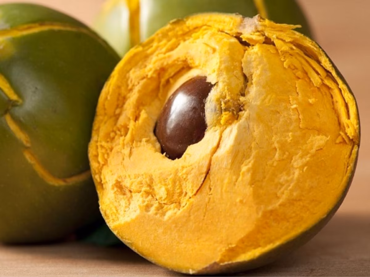 Lúcuma, native Peruvian fruit