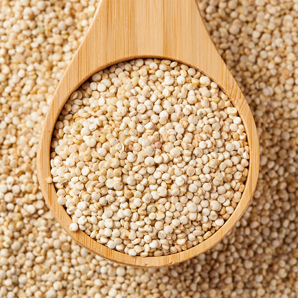 Peruvian quinoa grains in a wooden spoon