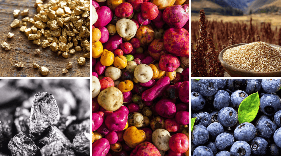 Peruvian commodities: gold, minerals, native potatoes, quinoa and blueberries